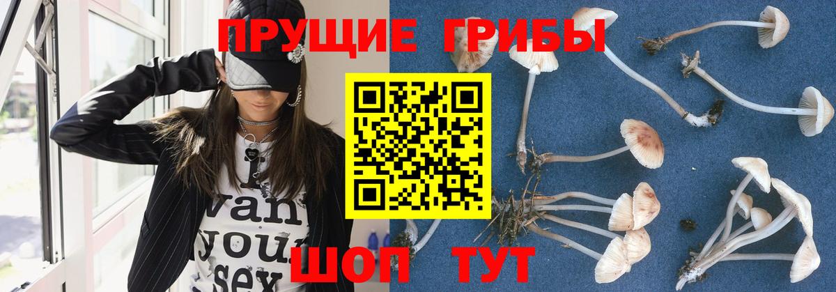 Соль-Илецк  Галлюциногенные грибы Magic Shrooms  Вход с VPN  Псилоцибиновые грибы Cubensis 